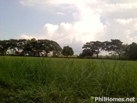 EXCLUSIVE FLOOD-FREE LOT @ MANILA SOUTHWOODS!