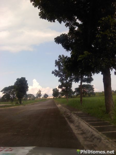 EXCLUSIVE FLOOD-FREE LOT @ MANILA SOUTHWOODS!