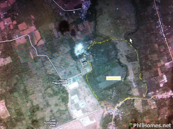 Farm in Batangas for SALE!