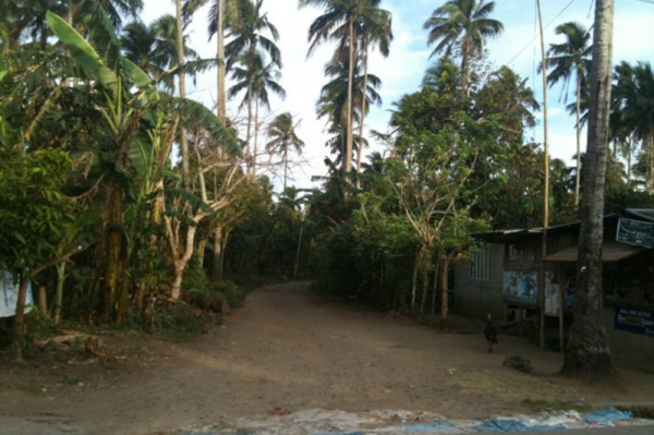 Farm in Batangas for SALE!