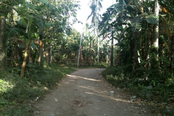 Farm in Batangas for SALE!