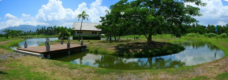Farm Lot  and lake lot in Hacienda Escudeo, San Pablo City, Laguna