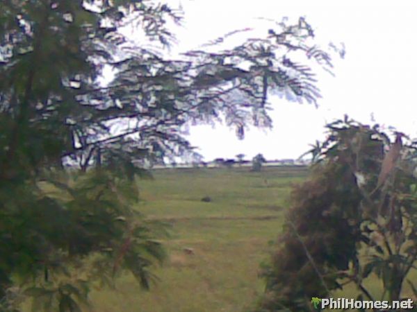 farmland with fishpond in Arayat, Pampanga for Sale