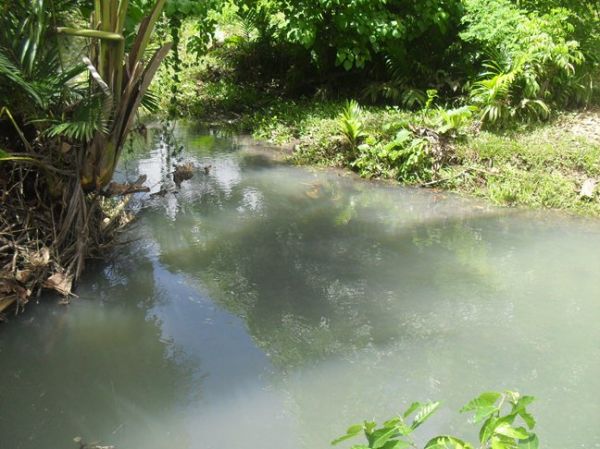 Fruit farm in Northern Mindanao