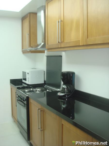 Furnished 2 Bedroom Condominium Unit with Parking One Serendra Taguig Metro Manila