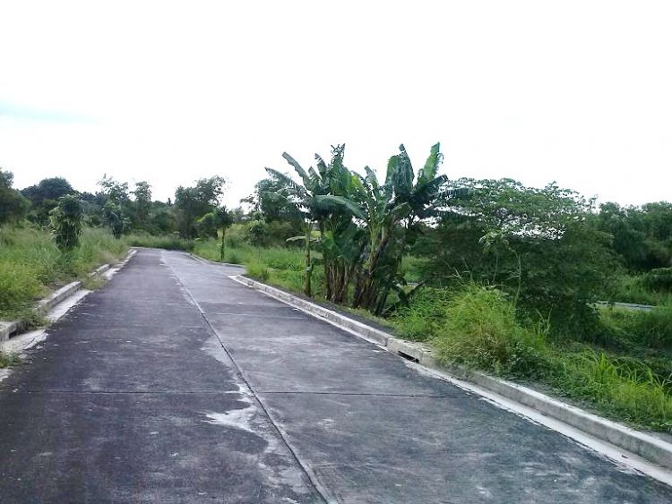 GLENWOODS NORTH EXECUTIVE VILLAGE  STA MARIA BULACAN