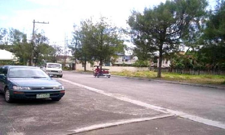 GOLDEN MEADOW BINAN EXECUTIVE VILLAGE, Manabat St., Bgy. San Antonio, Binan, Laguna accross Grand Pavillon Mall developed by Sta Lucia Realty