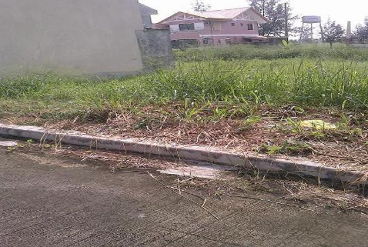 GOLDEN MEADOW BINAN EXECUTIVE VILLAGE MANABAT STREET, BGY SAN ANTONIO,  BINAN, LAGUNA 