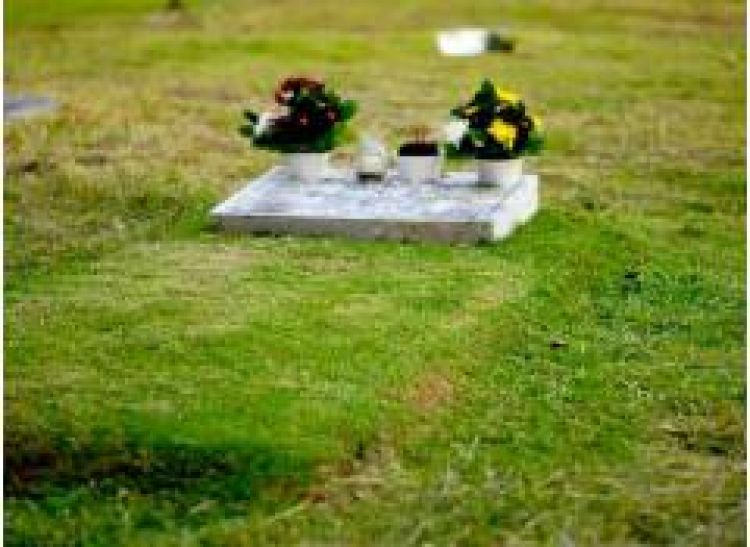 Green Garden Memorial & Interment Services