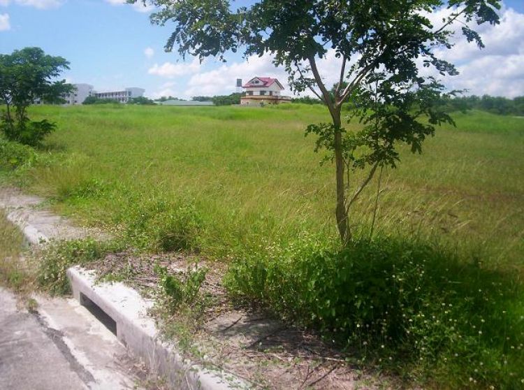 GREENMEADOWS 2 AT THE ORCHARD DASMARINAS CAVITE