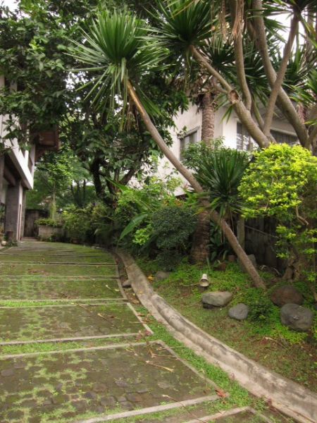 Ayala Heights Old House For Sale