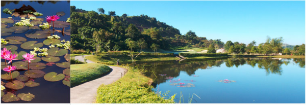 Residential lot only for sale