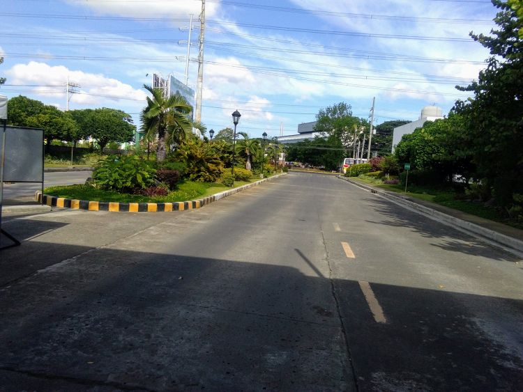 Lot for Sale 300 Sqm Dasmarinas Cavite The Orchard