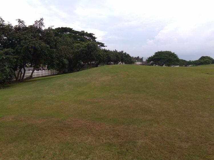Fairway Lot The Orchard  Dasmarinas Cavite